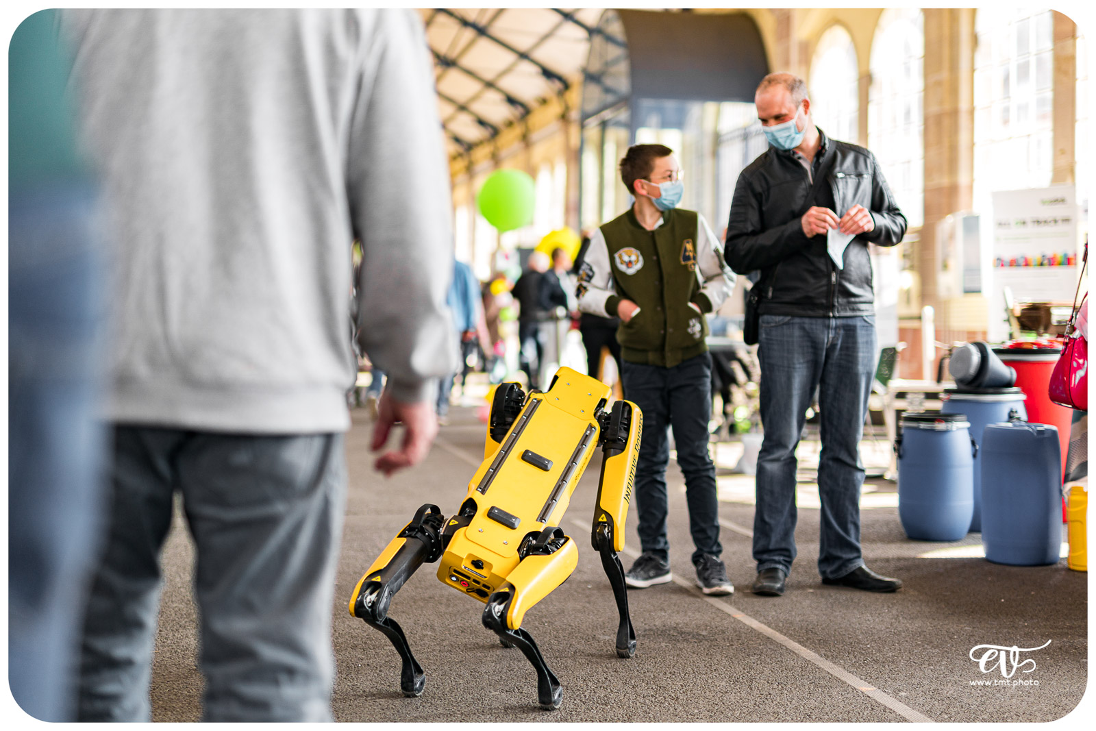 SPOT (BOSTON DYNAMICS)